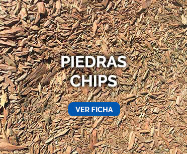 Piedras Chips