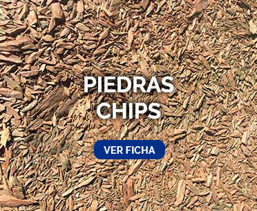 Piedras Chips